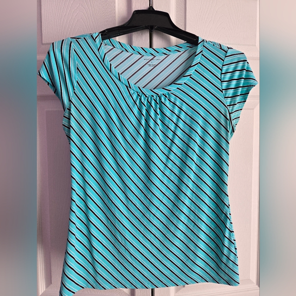 Ladies dress shirt